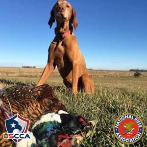 Meet your Posher, Joe